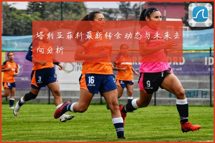 塔利亚菲科最新转会动态与未来去向分析